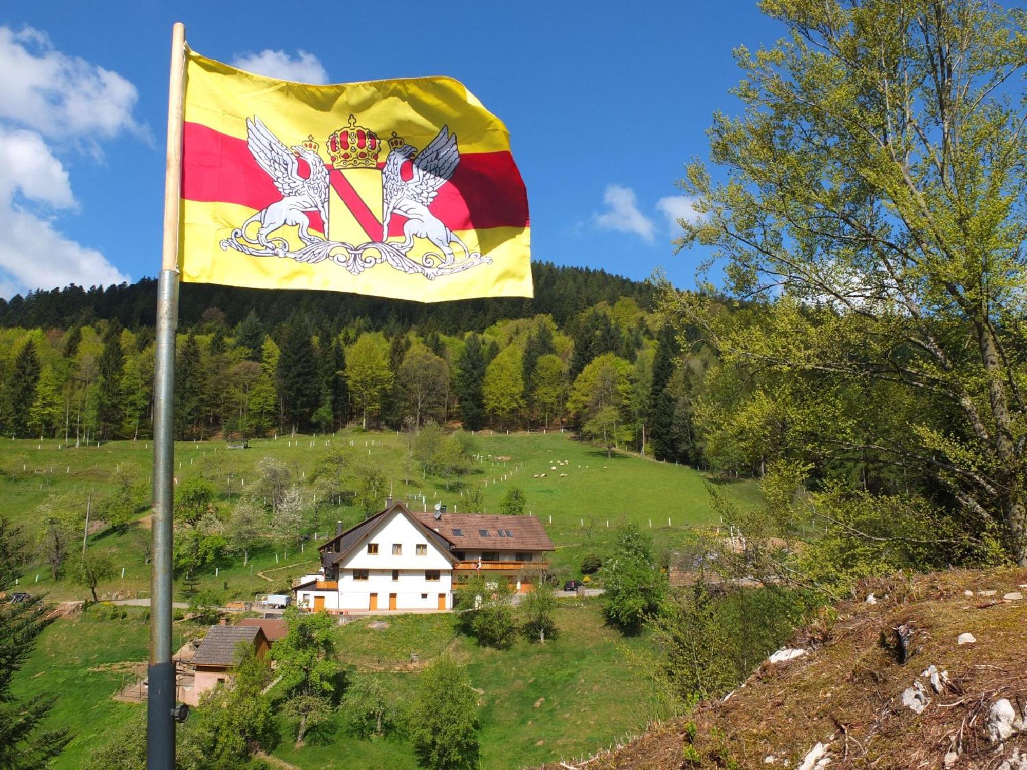 Paradies Im Schwarzwald Bad Peterstal-Griesbach Exterior foto